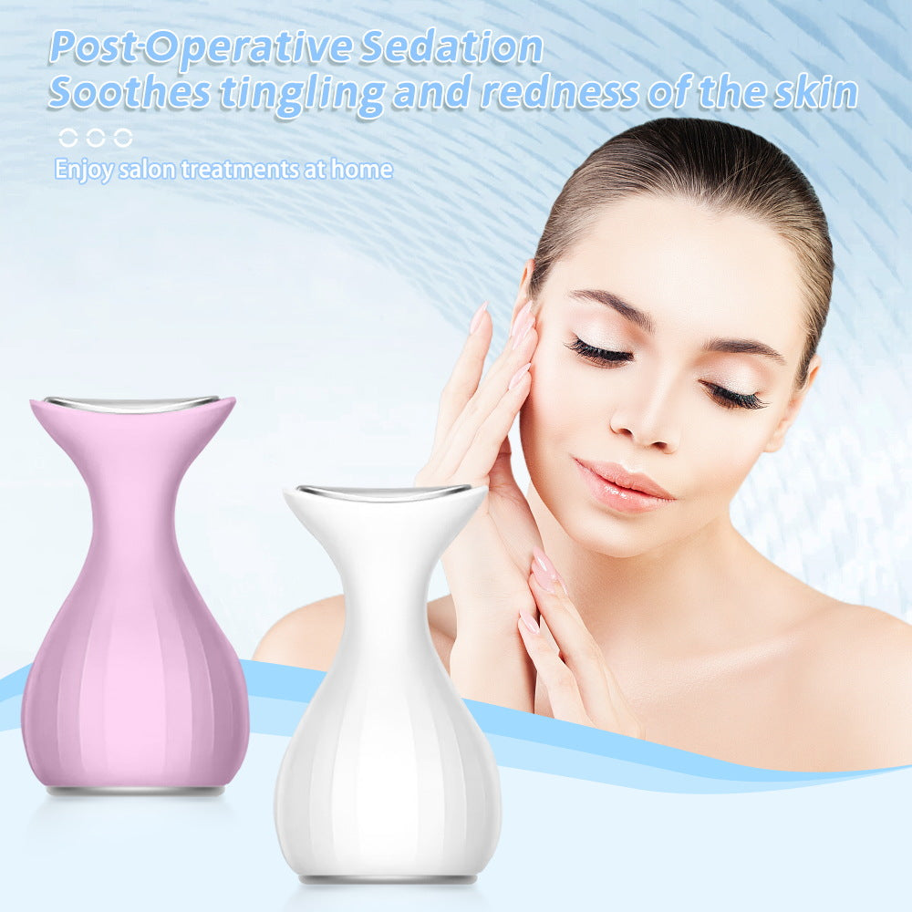 Cross-Border Anti-Aging Ice Facial Tool for Home Use